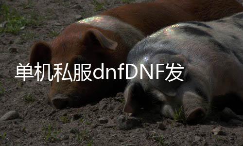 单机私服dnfDNF发布网与勇士（dnf单机版端游）