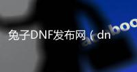 兔子DNF发布网（dnf兔子时装套）