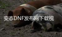 变态DNF发布网下载视频（dnf手游变态）
