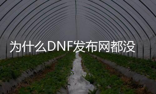 为什么DNF发布网都没有耳环（dnf耳环没有徽章吗）