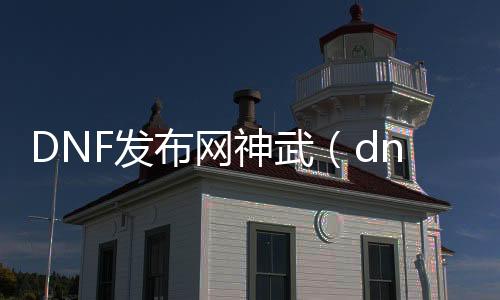 DNF发布网神武（dnf武神吧 百度贴吧）