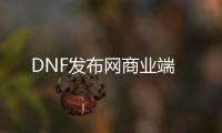 DNF发布网商业端