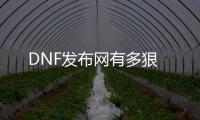 DNF发布网有多狠