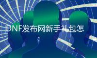 DNF发布网新手礼包怎么领取（dnf新手礼包有什么）