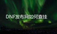 DNF发布网如何查挂