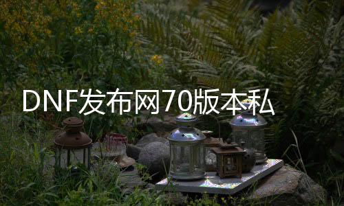 DNF发布网70版本私服怎么毕业（DNF发布网70级后怎么玩）