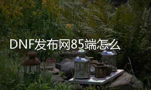 DNF发布网85端怎么升90（DNF发布网85版本怎么赚钱）