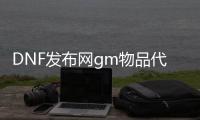 DNF发布网gm物品代码（DNF发布网里面的gm）