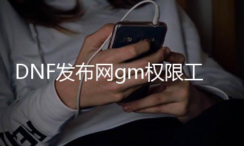 DNF发布网gm权限工具（DNF发布网与勇士gm工具）