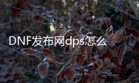 DNF发布网dps怎么看（DNF发布网怎么看输出数据）