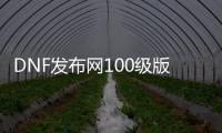 DNF发布网100级版本私服（DNF发布网与勇士100版本攻略）