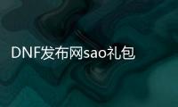 DNF发布网sao礼包代码（DNF发布网礼包中心）