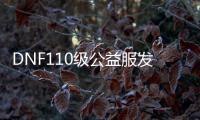 DNF110级公益服发布网哪个好(DNF110级公益服发布网最新开服推荐)