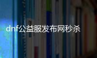 dnf公益服发布网秒杀辅助群（dnf公益服发布网免费辅助）