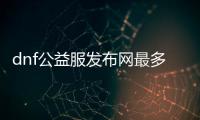 dnf公益服发布网最多人（dnf公益服发布网哪个职业厉害）