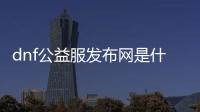 dnf公益服发布网是什么呢（DNF发布网公益服发布网什么意思）