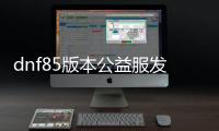 dnf85版本公益服发布网刷大饼（dnf95版本公益服发布网）